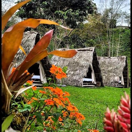 Bed and Breakfast Rancho Porvenir Mocoa Екстер'єр фото