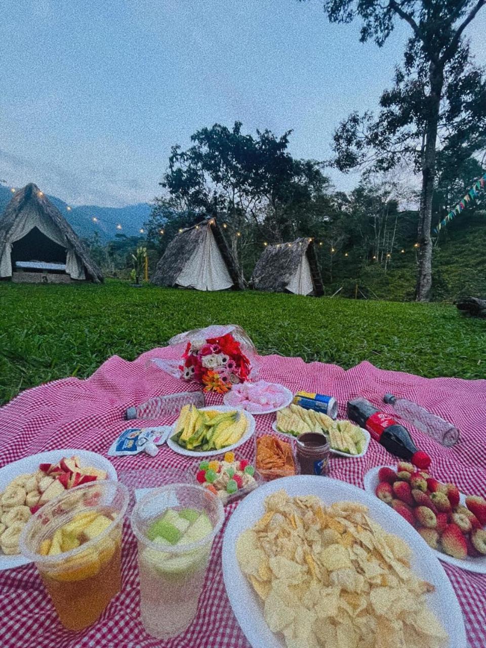 Bed and Breakfast Rancho Porvenir Mocoa Екстер'єр фото